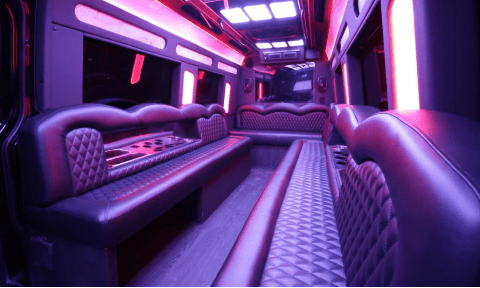 Richmond 14 Passenger Sprinter Bus Interior