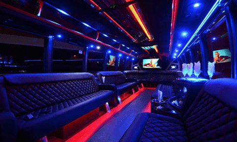 Fredericksburg 30 Passenger Party Bus Black Interior
