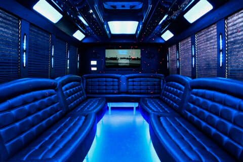 Newport News 36 Passenger Party Bus Interior